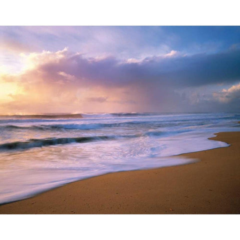 Pacific Storm Gold Ornate Wood Framed Art Print with Double Matting by Foster, Christopher