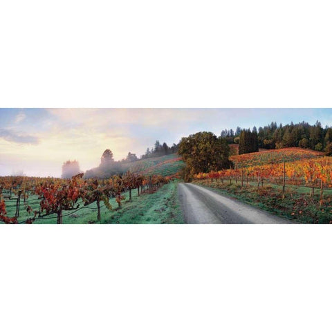 Storybook Mountain Black Modern Wood Framed Art Print by Foster, Christopher