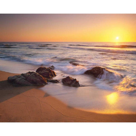 Pacific Calm White Modern Wood Framed Art Print by Foster, Christopher