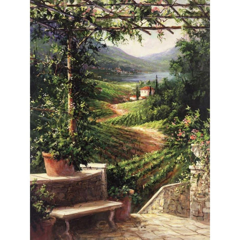 Chianti Vineyard Black Modern Wood Framed Art Print by Fronckowiak, Art