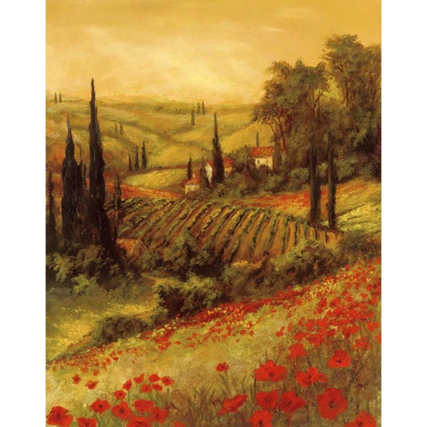 Toscano Valley II White Modern Wood Framed Art Print by Fronckowiak, Art