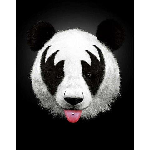 Panda Rocks Black Modern Wood Framed Art Print with Double Matting by Farkas, Robert