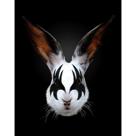 Rabbit Rocks White Modern Wood Framed Art Print by Farkas, Robert