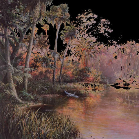 Myakka Sunset Black Ornate Wood Framed Art Print with Double Matting by Fronckowiak, Art