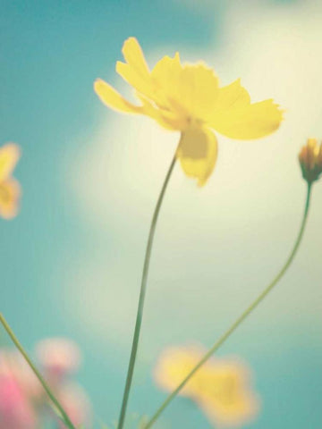 Summer Breeze White Modern Wood Framed Art Print with Double Matting by Fearheiley, Kim