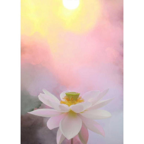 Beauty at Dawn Black Modern Wood Framed Art Print with Double Matting by Farzad, Bahman