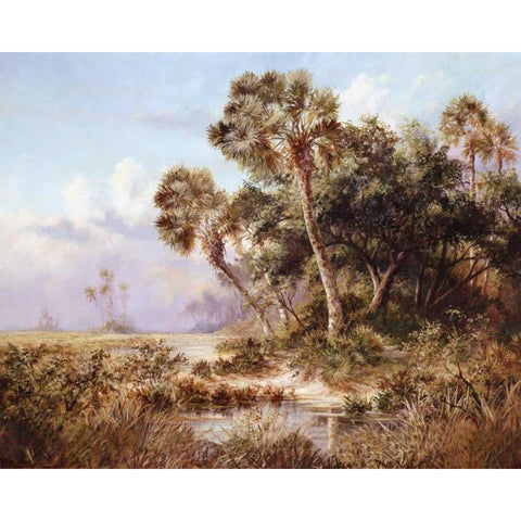 Glades Cove Black Modern Wood Framed Art Print by Fronckowiak, Art