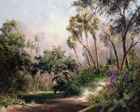 Myakka River Scene Black Ornate Wood Framed Art Print with Double Matting by Fronckowiak, Art