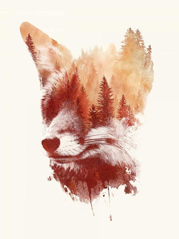 Blind Fox White Modern Wood Framed Art Print with Double Matting by Farkas, Robert