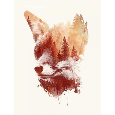 Blind Fox Black Modern Wood Framed Art Print with Double Matting by Farkas, Robert