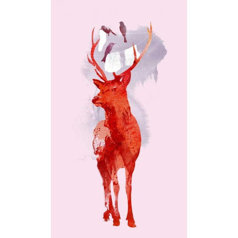 Useless Deer White Modern Wood Framed Art Print by Farkas, Robert