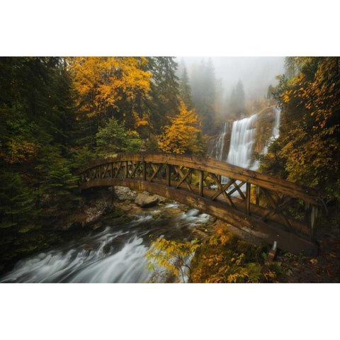 A Bridge in the Forest Gold Ornate Wood Framed Art Print with Double Matting by Fossati, Enrico