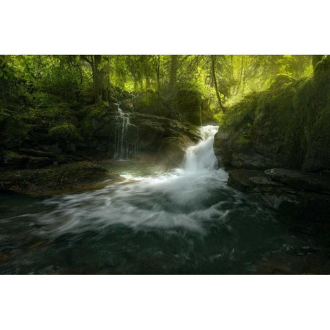 Stream of Life Black Modern Wood Framed Art Print by Fossati, Enrico