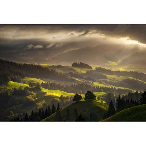 The Shire Black Modern Wood Framed Art Print with Double Matting by Fossati, Enrico