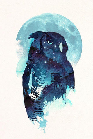 Midnight Owl Black Ornate Wood Framed Art Print with Double Matting by Farkas, Robert