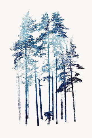Winter Wolf White Modern Wood Framed Art Print with Double Matting by Farkas, Robert