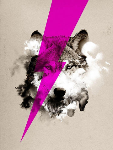 Wolf Rocks White Modern Wood Framed Art Print with Double Matting by Farkas, Robert