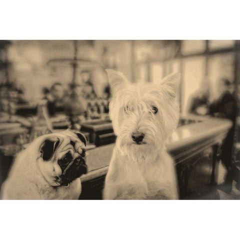 Singles Night White Modern Wood Framed Art Print by Fielding, Edward M.