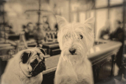 Singles Night White Modern Wood Framed Art Print with Double Matting by Fielding, Edward M.