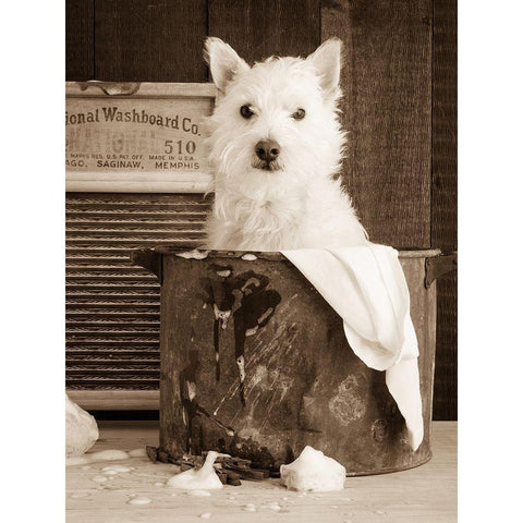 Vintage Wash Day Black Modern Wood Framed Art Print with Double Matting by Fielding, Edward M.