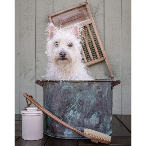 Washing the Dog Gold Ornate Wood Framed Art Print with Double Matting by Fielding, Edward M.