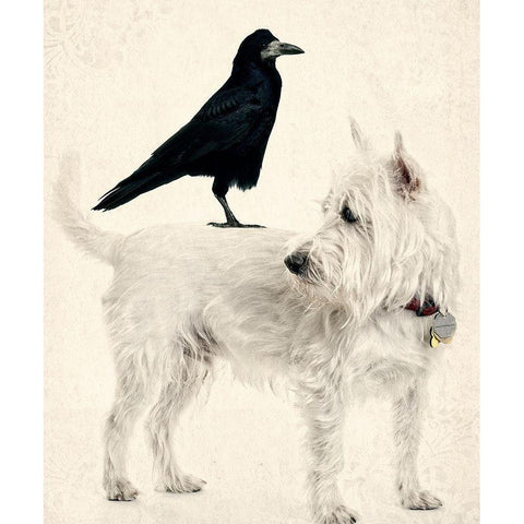 The Hitchhiker Black Modern Wood Framed Art Print with Double Matting by Fielding, Edward M.