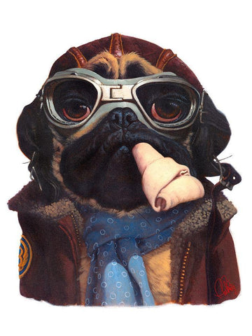 Aviator Pug White Modern Wood Framed Art Print with Double Matting by Fluharty, Thomas