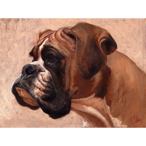 Boxer Gold Ornate Wood Framed Art Print with Double Matting by Fluharty, Thomas