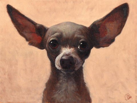 Chihuahua White Modern Wood Framed Art Print with Double Matting by Fluharty, Thomas