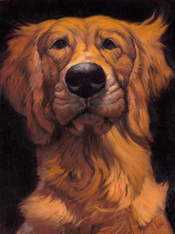 Golden White Modern Wood Framed Art Print with Double Matting by Fluharty, Thomas