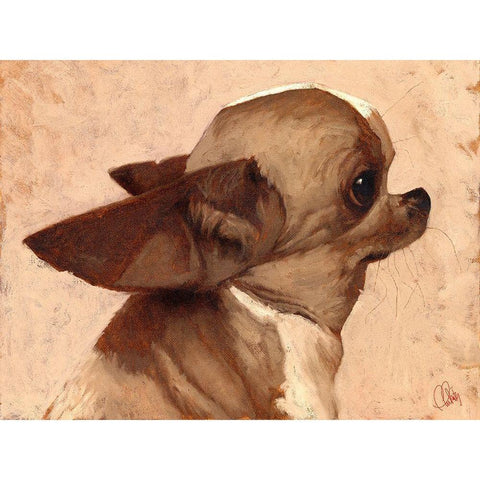 Profile-Chihuahua Black Modern Wood Framed Art Print with Double Matting by Fluharty, Thomas