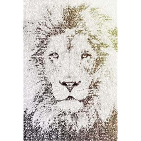 Lion Black Modern Wood Framed Art Print with Double Matting by Flores, Paula Belle