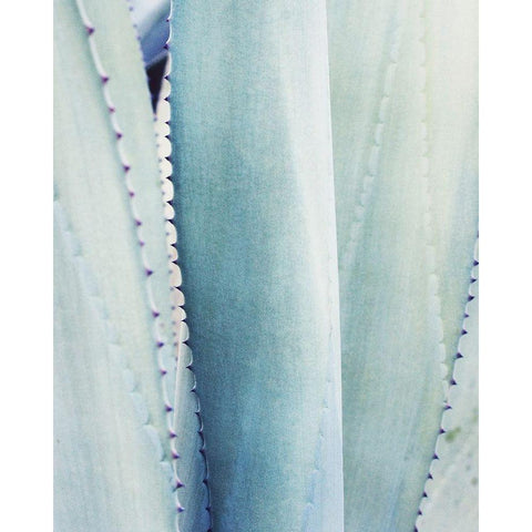 Pale Blue Agave No. 3 Black Modern Wood Framed Art Print by Grainne, Lupen