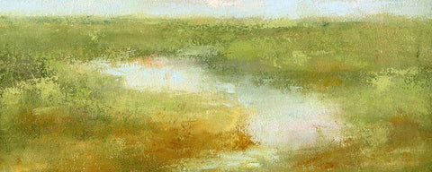 Cape Cod Marshes Black Ornate Wood Framed Art Print with Double Matting by Gould, Laura Graham