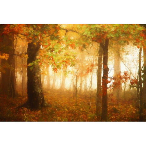 Autumns Rainbow Black Modern Wood Framed Art Print with Double Matting by Grippo-Pike, Carrie Ann