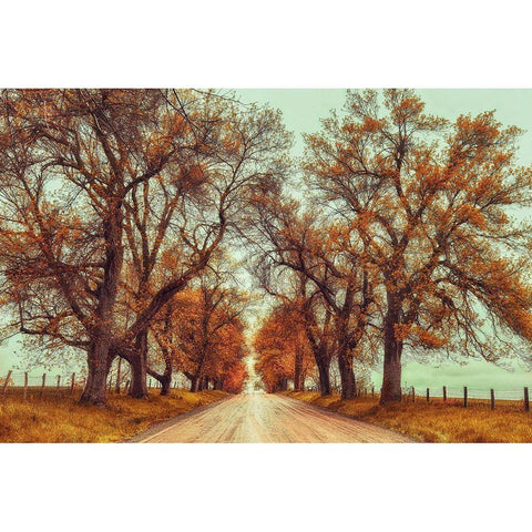 November Adventures Black Modern Wood Framed Art Print with Double Matting by Grippo-Pike, Carrie Ann