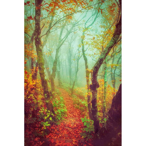 Fairytale Fall Pathway Gold Ornate Wood Framed Art Print with Double Matting by Grippo-Pike, Carrie Ann