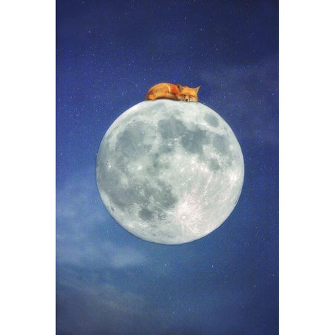 Fox Sleeping on Moon Black Modern Wood Framed Art Print by Grippo-Pike, Carrie Ann