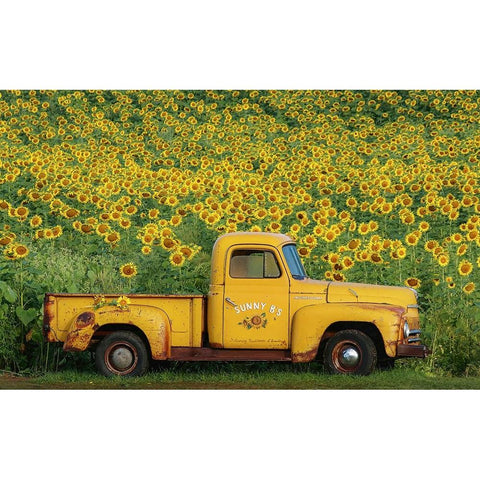 Yellow Vintage Sunflower Truck Gold Ornate Wood Framed Art Print with Double Matting by Grippo-Pike, Carrie Ann