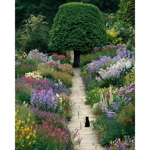 The Garden Cat Black Modern Wood Framed Art Print by Gawlowski, Greg
