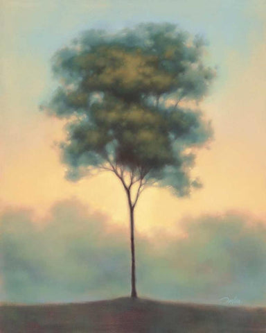 Solitude I Black Ornate Wood Framed Art Print with Double Matting by Gams, Darlou