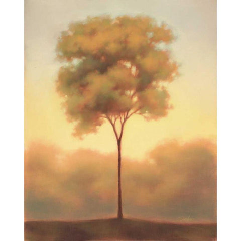 Solitude III Black Modern Wood Framed Art Print with Double Matting by Gams, Darlou