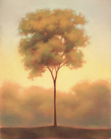 Solitude III White Modern Wood Framed Art Print with Double Matting by Gams, Darlou