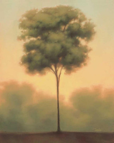 Solitude IV White Modern Wood Framed Art Print with Double Matting by Gams, Darlou
