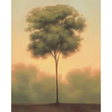 Solitude IV Black Modern Wood Framed Art Print by Gams, Darlou