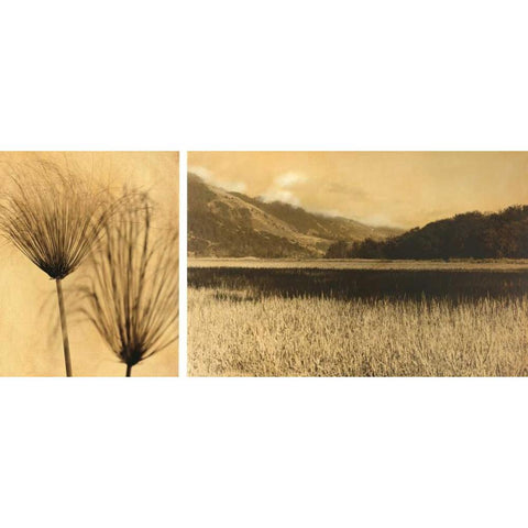 Bolinas Lagoon #7 Gold Ornate Wood Framed Art Print with Double Matting by Gauthier, Jan