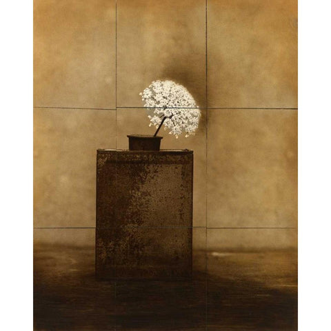 Dark Vessel White Modern Wood Framed Art Print by Gauthier, Jan