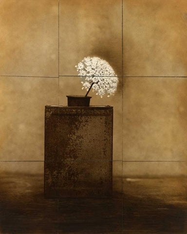 Dark Vessel White Modern Wood Framed Art Print with Double Matting by Gauthier, Jan