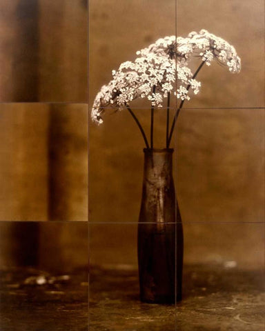 Night Flower White Modern Wood Framed Art Print with Double Matting by Gauthier, Jan