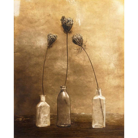 Three Views Black Modern Wood Framed Art Print with Double Matting by Gauthier, Jan